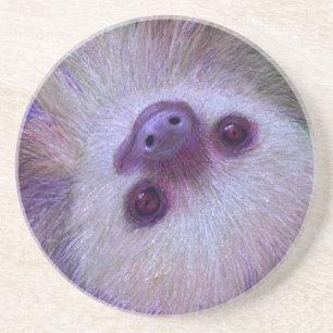 Sloth Coaster