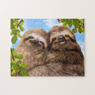 Sloth Couple Jigsaw Puzzle