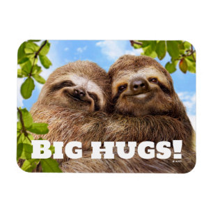 Sloth Couple Magnet