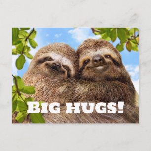 Sloth Couple Postcard