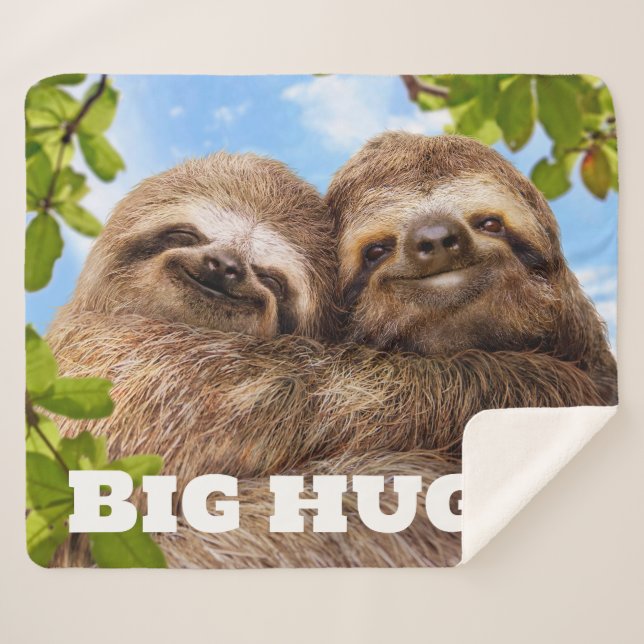 Sloth Couple Sherpa Blanket (Front (Horizontal))