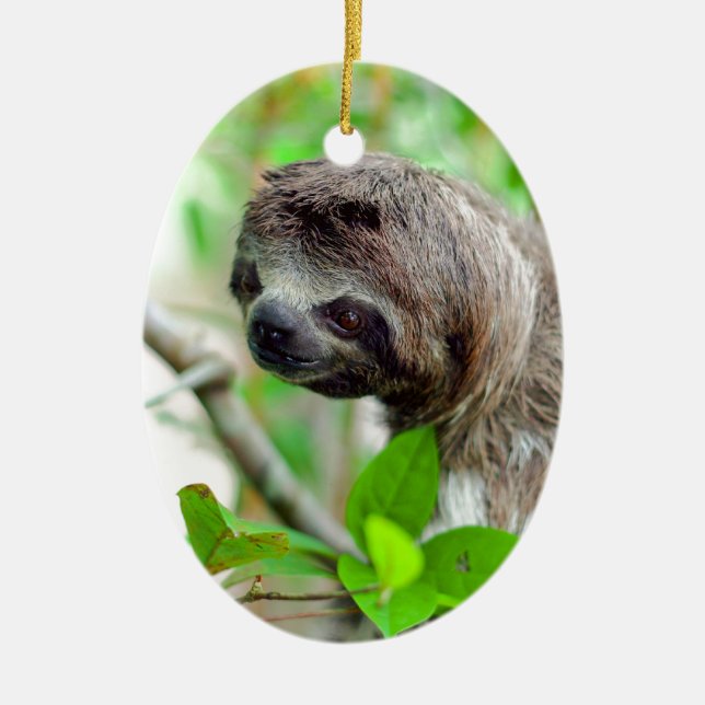 Sloth in tree Nicaragua Ceramic Tree Decoration (Front)