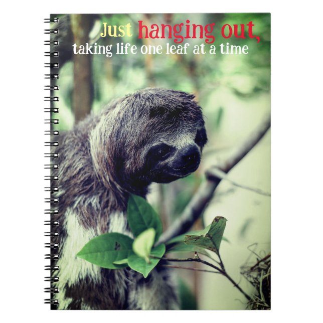 Sloth in tree photo notebook (Front)