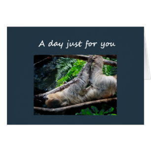 Sloth International Day Relax, Do Nothing Fun