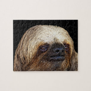 Sloth Jigsaw Puzzle
