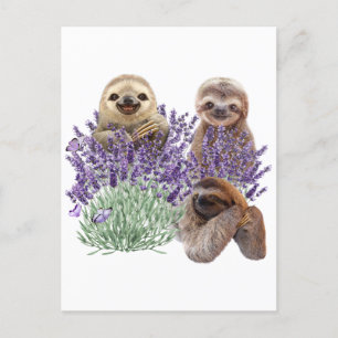 Sloth Lavender Shirt Womens Sloth Clothing Mother Postcard