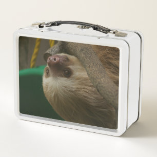 Sloth Metal Lunch Box