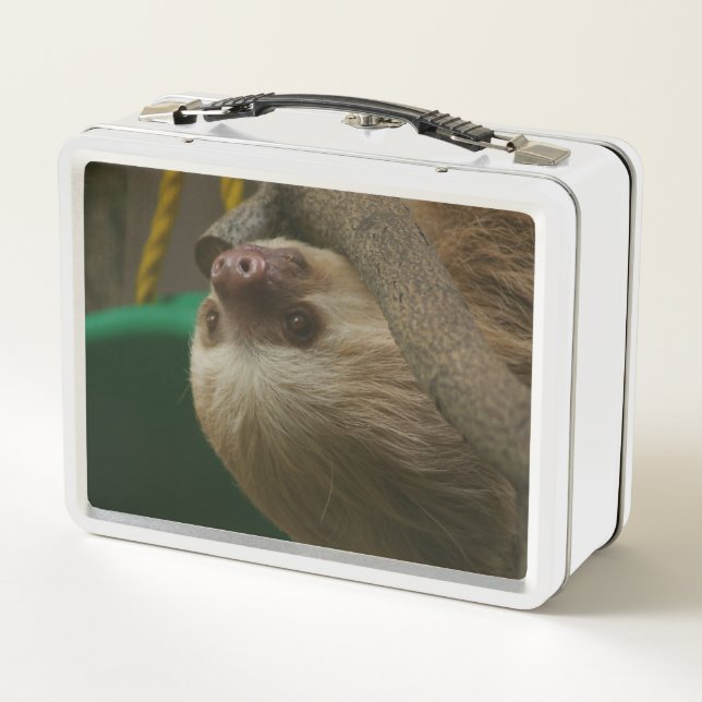 Sloth Metal Lunch Box (Back)