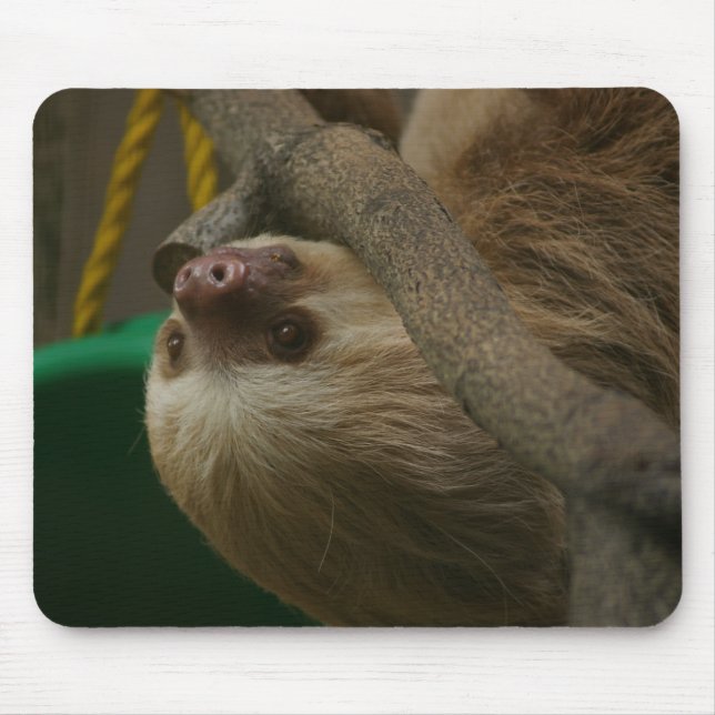 Sloth Mouse Mat (Front)