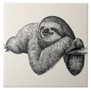 Sloth on tree tile