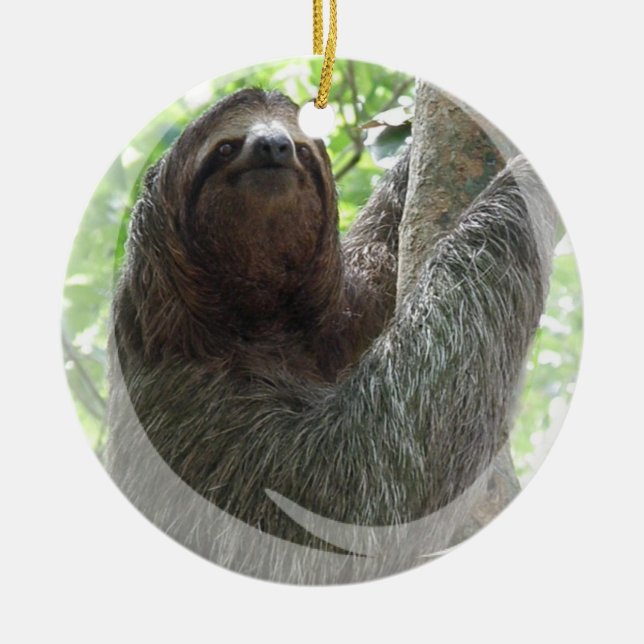 Sloth Ornament (Front)