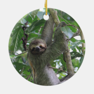 Sloth Ornament