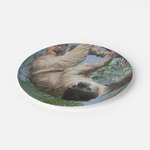 Sloth Paper Plates