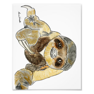 Sloth Photo Print