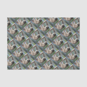 Sloth Photo Tissue Paper