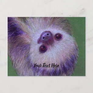 Sloth Postcard