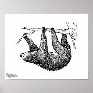 Sloth Poster
