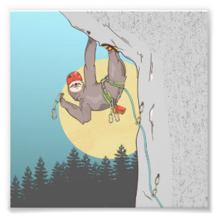 Sloth Rock climbing Photo Print