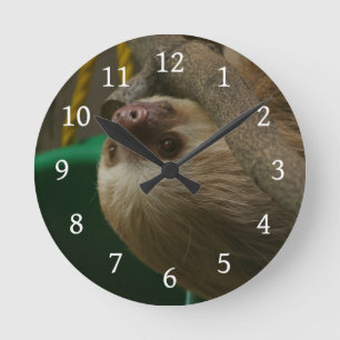 Sloth Round Clock