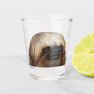 Sloth Shot Glass