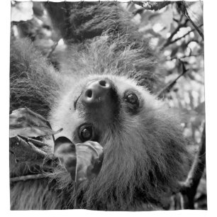 Sloth Shower Curtain