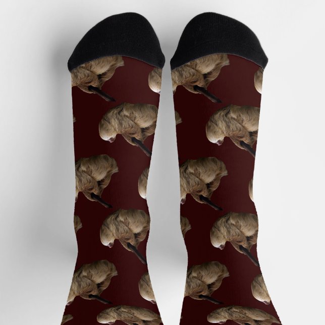 Sloth Socks (Top)