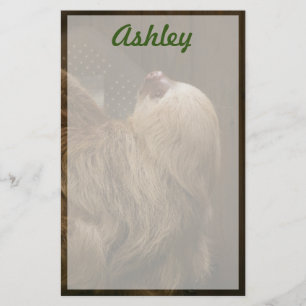 Sloth Stationery