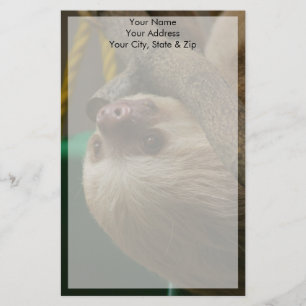 Sloth Stationery