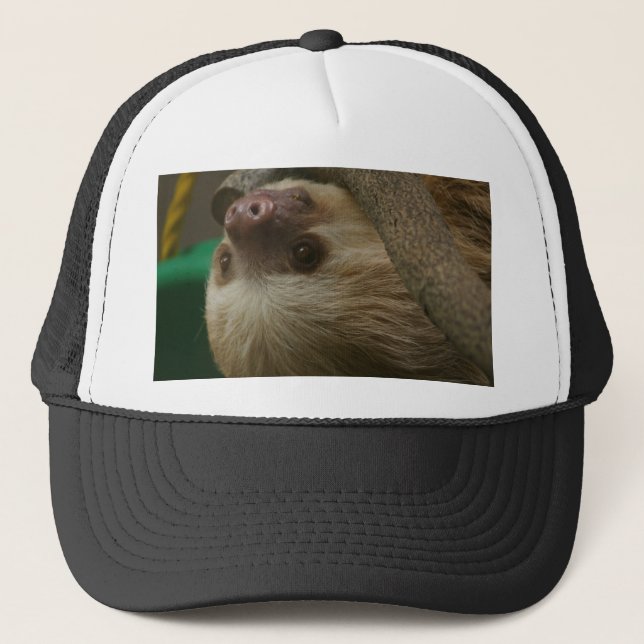 Sloth Trucker Hat (Front)