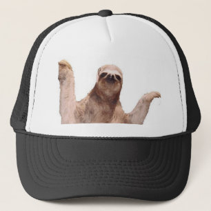 sloth trucker hat