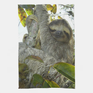 Sloth Up A Tree Tea Towel