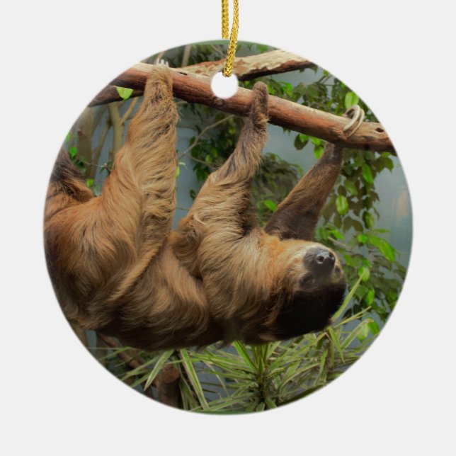 Sloth Waiting for Santa Ornament (Front)