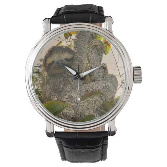 sloth watch (Front)