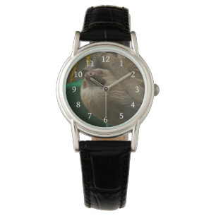 Sloth Watch