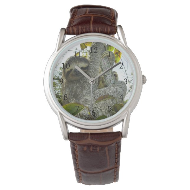 Sloth Watch (Front)