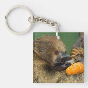 Sloth with Pumpkin Key Ring