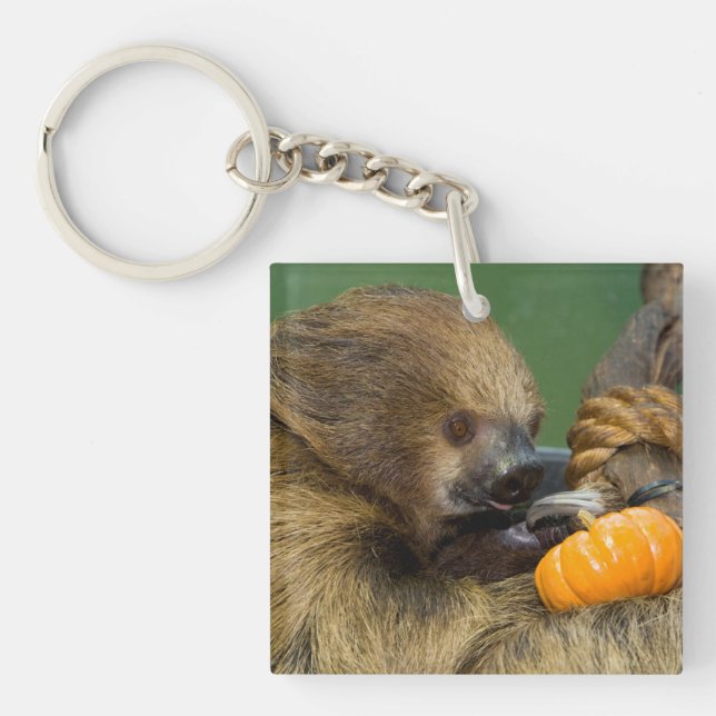 Sloth with Pumpkin Key Ring (Front)