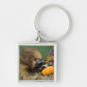 Sloth with Pumpkin Key Ring