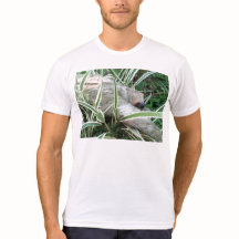 sloth with stylised back pix