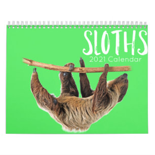Sloths 2023 calendar funny & cute sloth