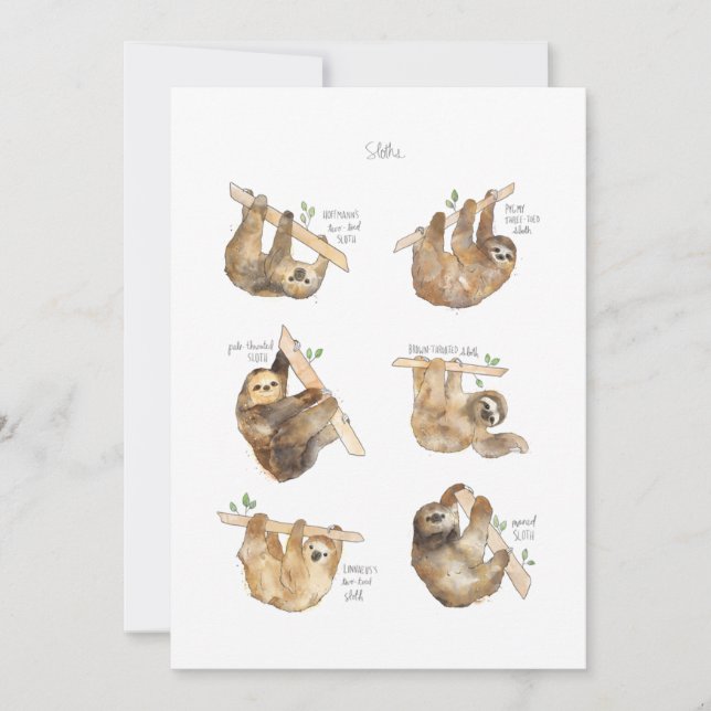 Sloths Classic  Invitation (Front)