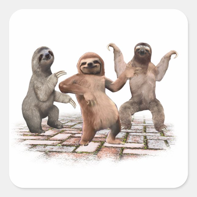 Sloths Dancing Funny Cute Gifts For Animal Lovers Square Sticker (Front)