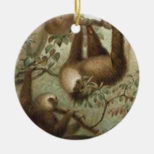 Sloths In Trees Ceramic Tree Decoration