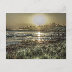 Slough at Dawn Postcard