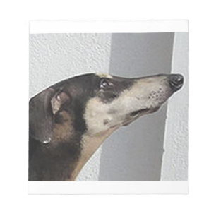 sloughi.png notepad