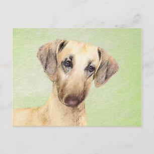 Sloughis Painting - Cute Original Dog Art Postcard