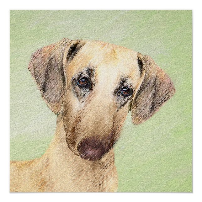 Sloughis Painting - Cute Original Dog Art Poster (Front)
