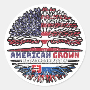 Slovakia Slovakian US American USA United States Classic Round Sticker