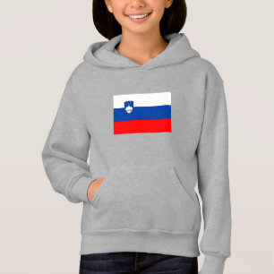 Slovenia Flag