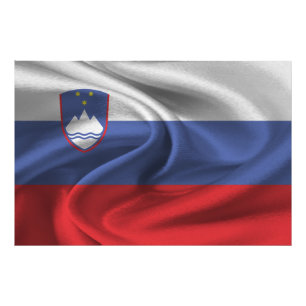 Slovenia Flag Photo Print